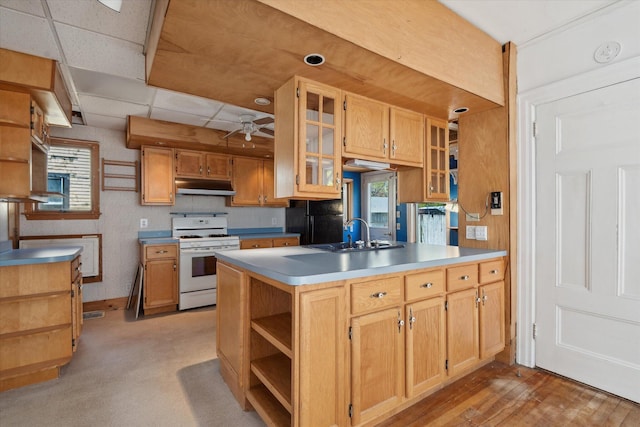 kitchen with white range with gas cooktop, a sink, under cabinet range hood, open shelves, and ceiling fan