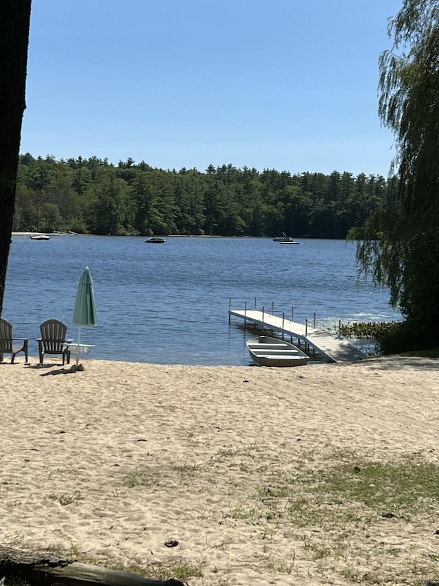 dock with a water view and a view of trees