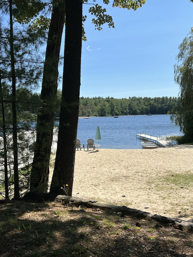 water view with a dock and a forest