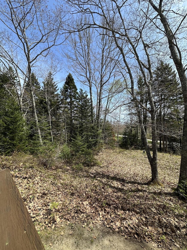 1157 Back Cv, Waldoboro, ME 04572 - view of undeveloped land
