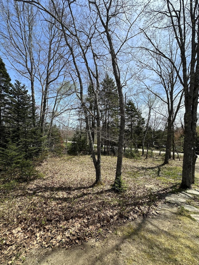 1157 Back Cv, Waldoboro, ME 04572 - view of yard