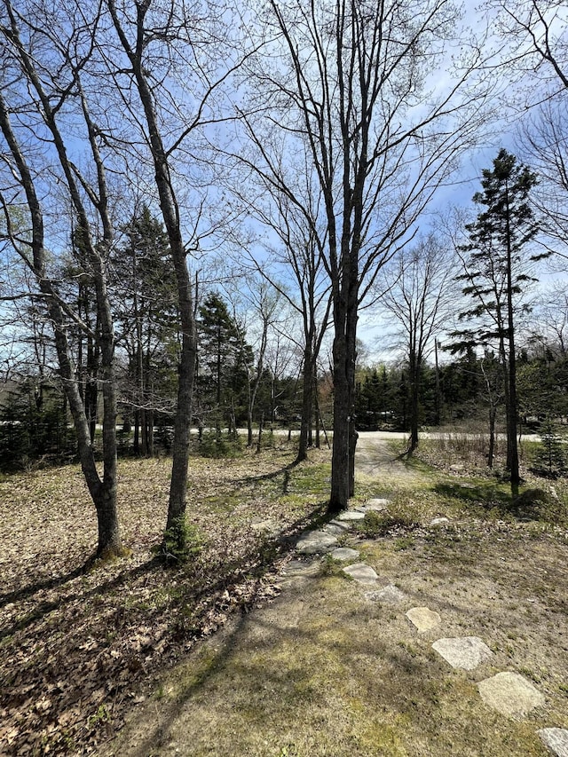 1157 Back Cv, Waldoboro, ME 04572 - view of yard
