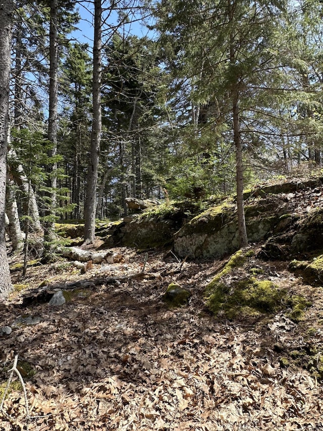 1157 Back Cv, Waldoboro, ME 04572 - view of nature