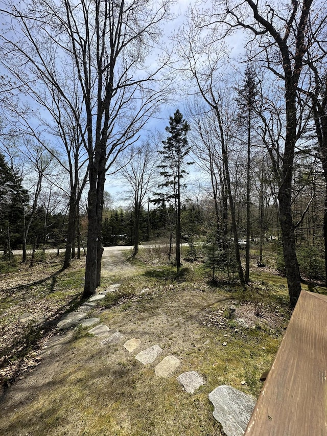 1157 Back Cv, Waldoboro, ME 04572 - view of yard