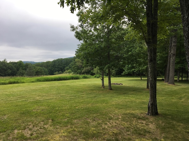 view of green lawn with a view of trees