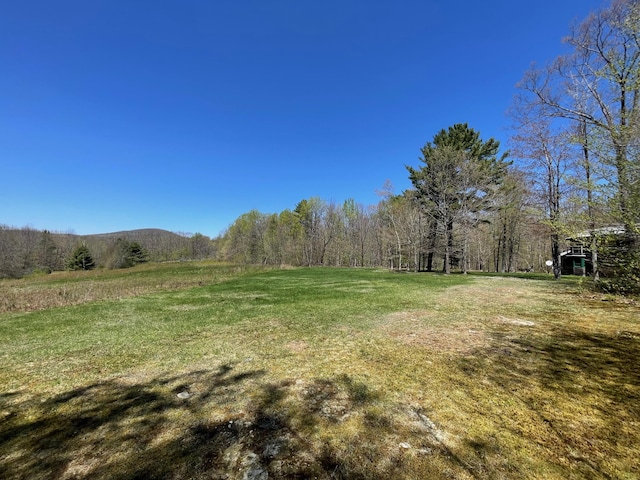 view of green lawn featuring a forest view