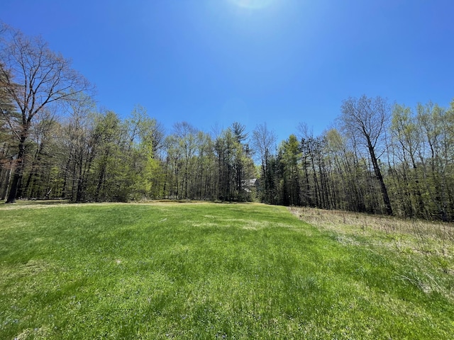 view of green lawn featuring a wooded view