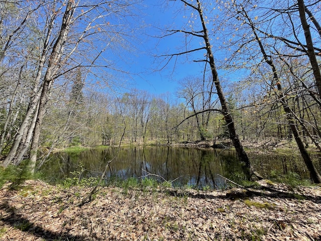 water view featuring a forest