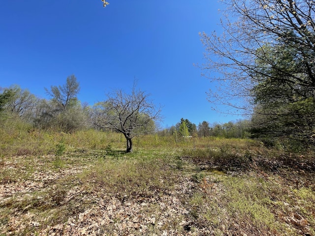 view of nature