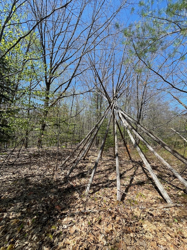 view of nature
