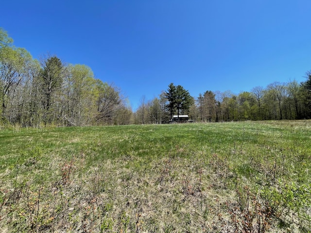 view of yard with a forest view