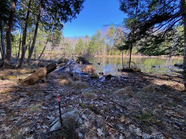LOT2 Marble Point Rd, Mount Vernon, ME 04352