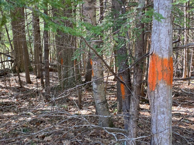 LOT2 Marble Point Rd, Mount Vernon, ME 04352
