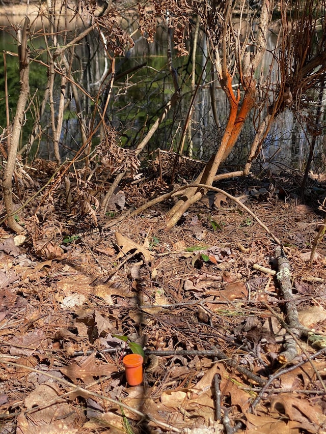 LOT2 Marble Point Rd, Mount Vernon, ME 04352