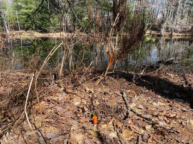 LOT2 Marble Point Rd, Mount Vernon, ME 04352