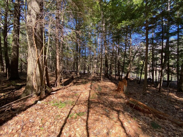 LOT2 Marble Point Rd, Mount Vernon, ME 04352