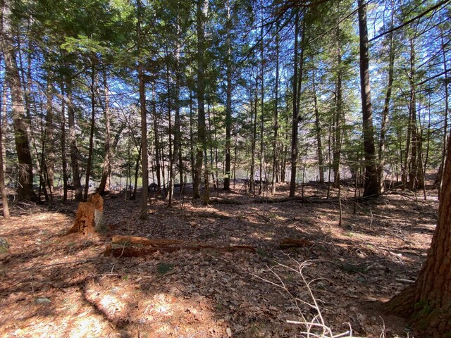 LOT2 Marble Point Rd, Mount Vernon, ME 04352