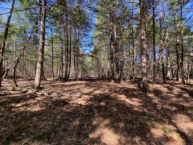 LOT2 Marble Point Rd, Mount Vernon, ME 04352