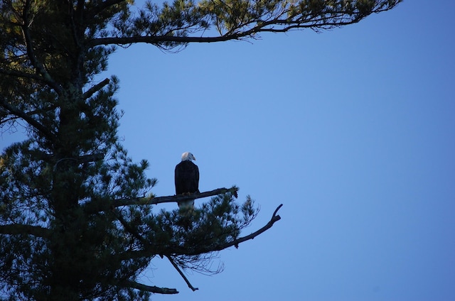 LOT2 Marble Point Rd, Mount Vernon, ME 04352