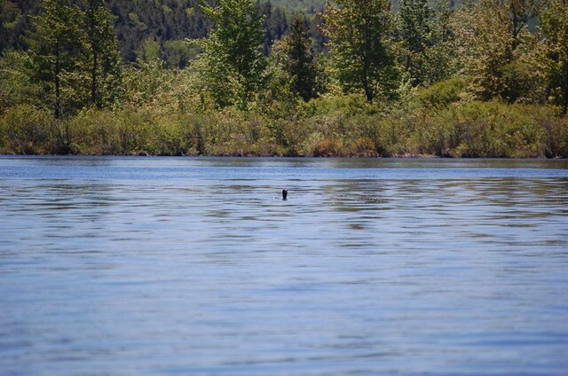 LOT2 Marble Point Rd, Mount Vernon, ME 04352