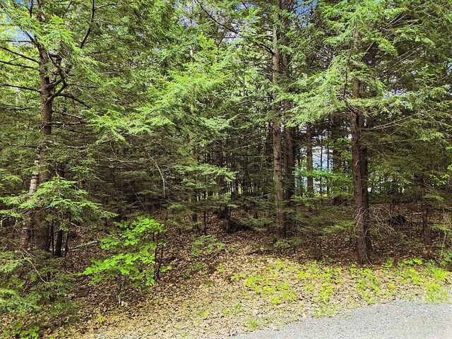 LOT2 Marble Point Rd, Mount Vernon, ME 04352