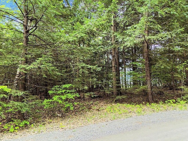 LOT2 Marble Point Rd, Mount Vernon, ME 04352