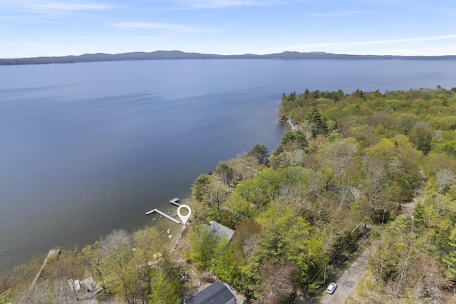 489 Leisure Ln, Frye Island, ME 04071 - bird's eye view of a water and mountain view