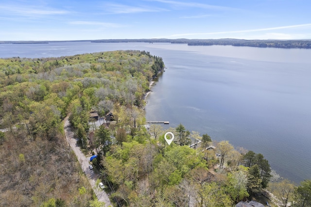 489 Leisure Ln, Frye Island, ME 04071 - aerial view of property's location with a large body of water and a forest