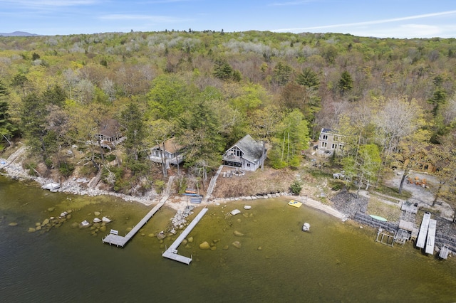 489 Leisure Ln, Frye Island, ME 04071 - aerial view of a forest and a nearby body of water