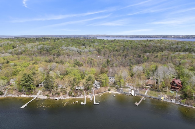 489 Leisure Ln, Frye Island, ME 04071 - aerial view of property and surrounding area featuring a forest and a large body of water