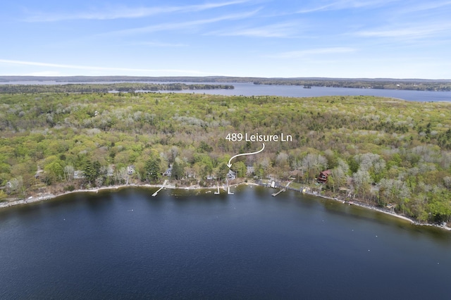 489 Leisure Ln, Frye Island, ME 04071 - view of property location with a forest and a nearby body of water