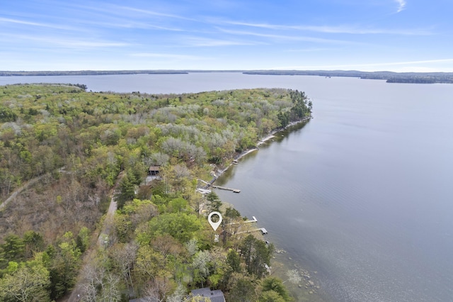 489 Leisure Ln, Frye Island, ME 04071 - aerial view of property's location featuring a nearby body of water and a forest