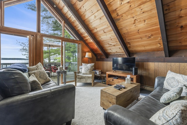 489 Leisure Ln, Frye Island, ME 04071 - living room with wooden ceiling, wooden walls, carpet, and a baseboard radiator