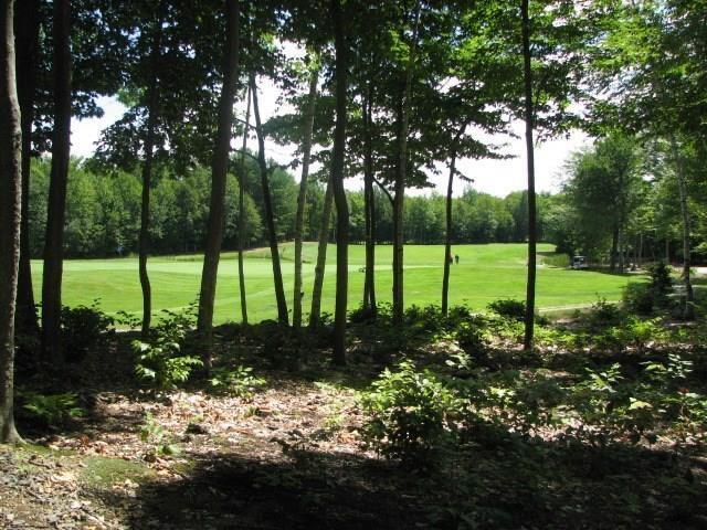 489 Leisure Ln, Frye Island, ME 04071 - view of grassy yard