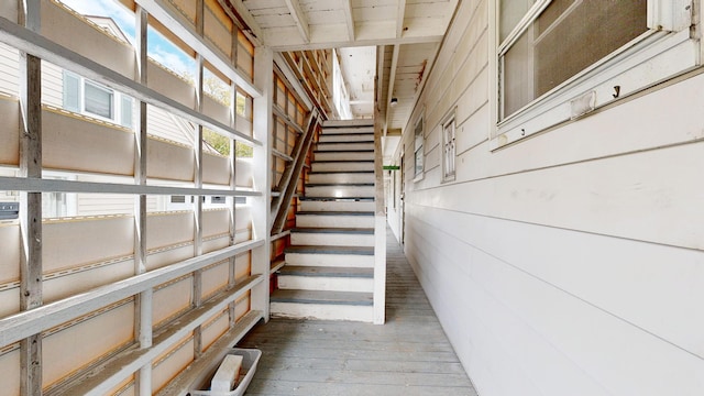stairs with hardwood / wood-style flooring and wooden walls