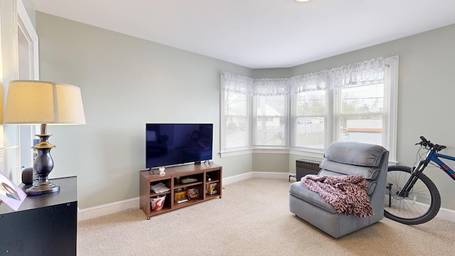 living area featuring carpet flooring, healthy amount of natural light, and baseboards