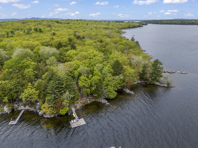 186 Ridge Rd, Frye Island, ME 04071 - aerial view of a nearby body of water and a forest