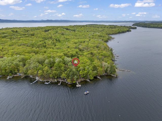 186 Ridge Rd, Frye Island, ME 04071 - drone / aerial view of a nearby body of water and a forest