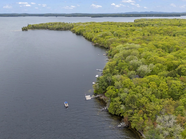 186 Ridge Rd, Frye Island, ME 04071 - drone / aerial view of a large body of water and a heavily wooded area
