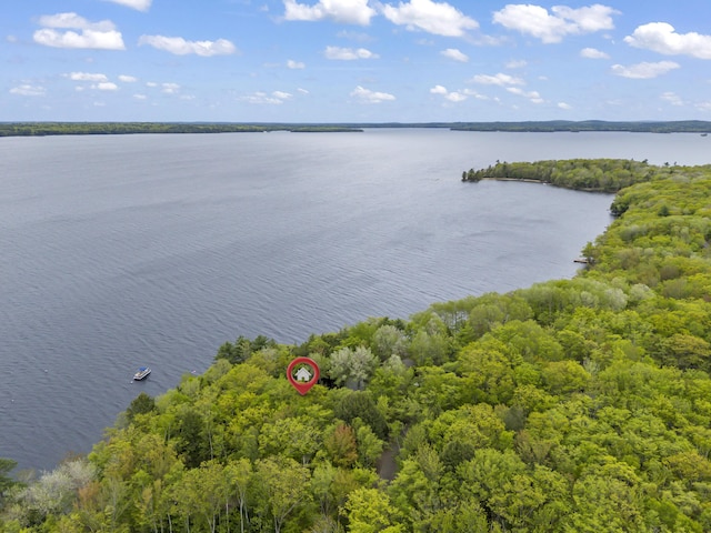 186 Ridge Rd, Frye Island, ME 04071 - drone / aerial view of a large body of water and a forest