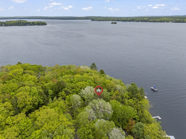 186 Ridge Rd, Frye Island, ME 04071 - drone / aerial view of a large body of water and a forest