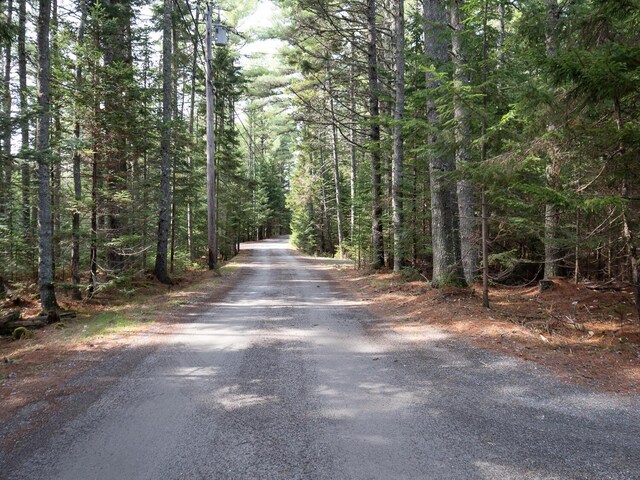 62 Parker Farm Rd, Mount Desert, ME 04660 - photo 58