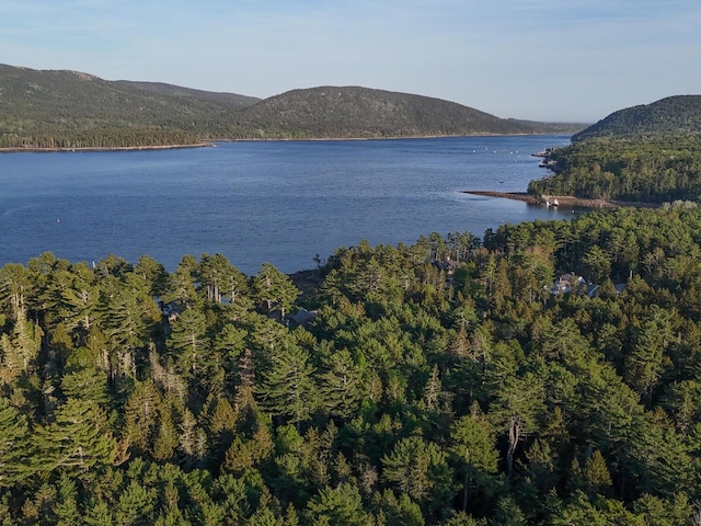 62 Parker Farm Rd, Mount Desert, ME 04660 - photo 60