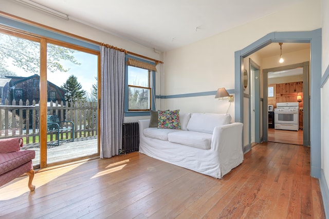 6 Sea St, Northeast Harbor, Mount Desert, ME 04662 - sitting room with radiator, wood-type flooring, and plenty of natural light