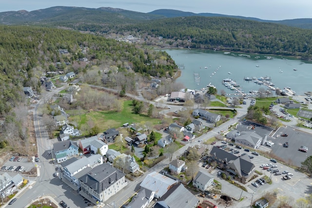6 Sea St, Northeast Harbor, Mount Desert, ME 04662 - aerial view of property's location featuring a heavily wooded area and a water and mountain view