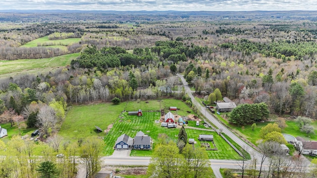aerial view of a forest
