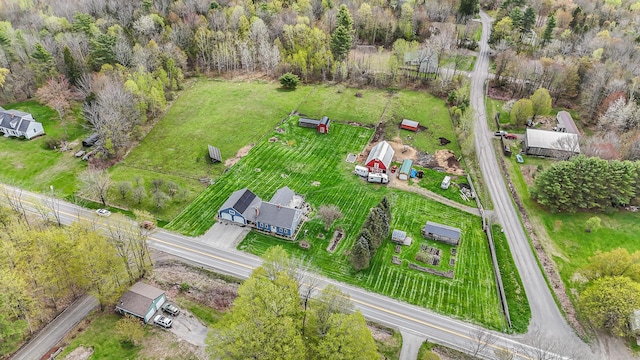 drone / aerial view