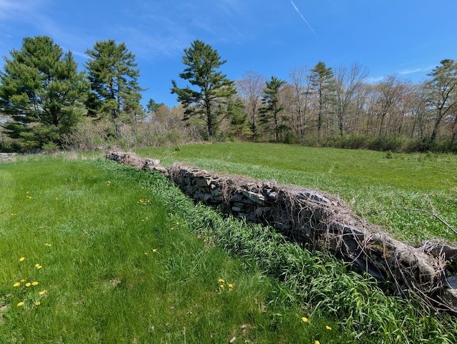 99 W Hamlet Rd, Newcastle, ME 04553 - view of yard