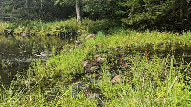 99 W Hamlet Rd, Newcastle, ME 04553 - view of local wilderness