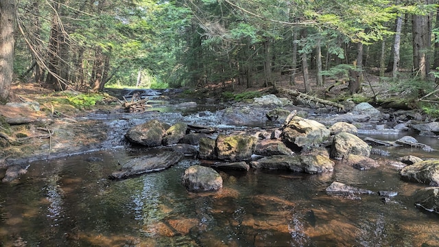 99 W Hamlet Rd, Newcastle, ME 04553 - view of tree filled area
